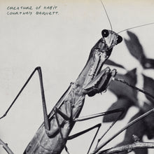 Load image into Gallery viewer, Courtney Barnett - Creature of Habit LP

