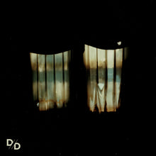 Load image into Gallery viewer, Divide and Dissolve - Insatiable LP
